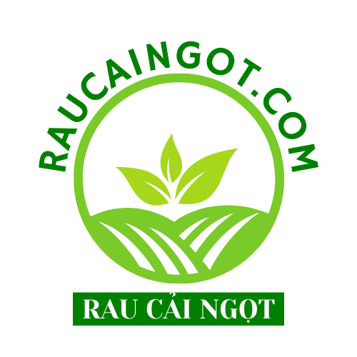 Rau Cải Ngọt